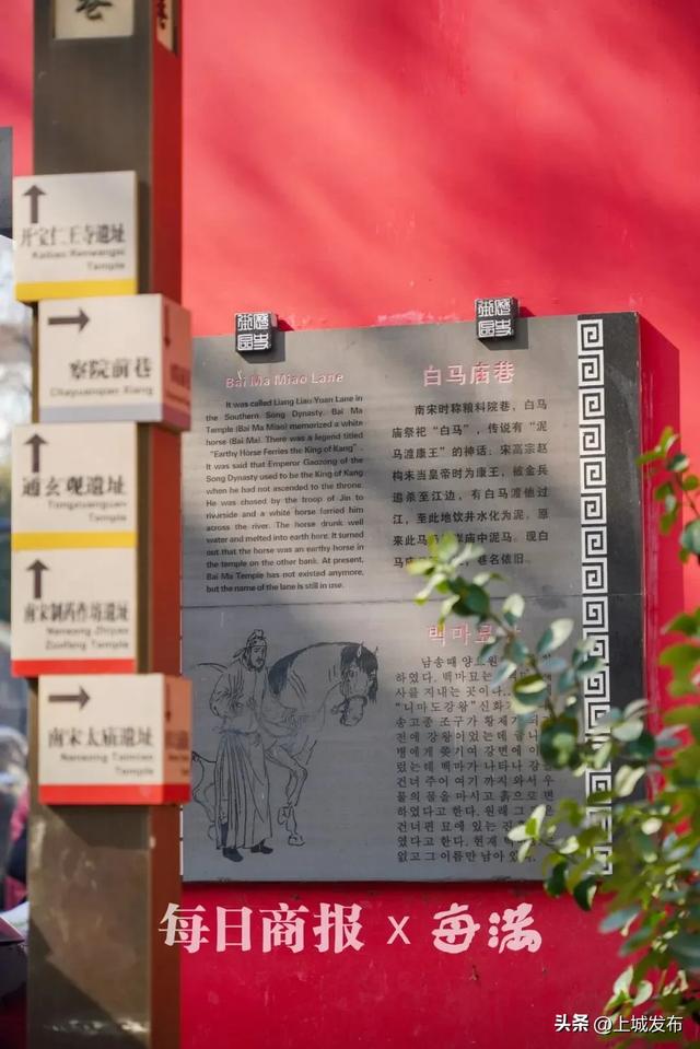 马“上”寻马 | 杭州city walk最新热门目的地,就在白马庙巷!
