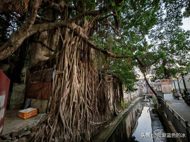 逛揭阳古城，揭阳学宫真热闹，双峰寺的楼真高