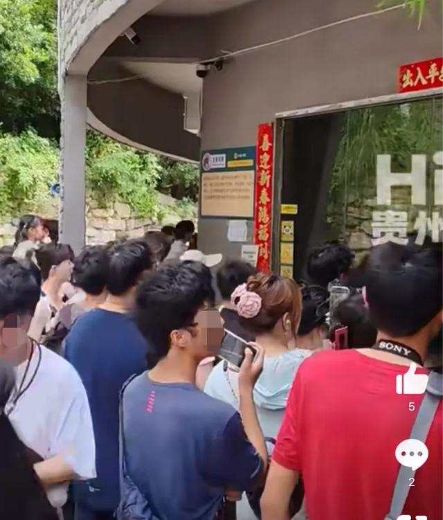 公园太火爆不知是人看猴还是猴看人