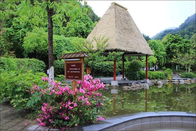 沉浸式感受韶关新丰绝美秋色！ 2天1夜赏枫露营品美食，徒步泡温泉，一起去躺平 ！