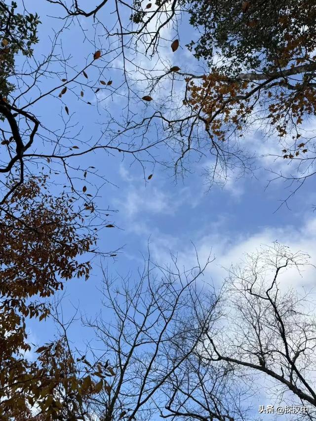 不等了！这个秋天，我就要去草川子~