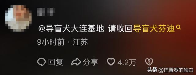 爬泰山的作死夫妻被制裁！导盲犬被收回，身份被扒，家里还有一只