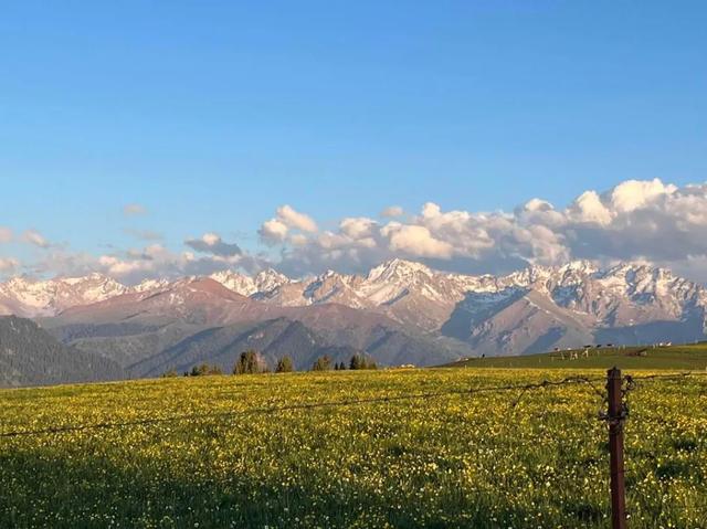 你收藏伊犁攻略里一定没有这一页 伊犁藏着不输任何收费景区风光。