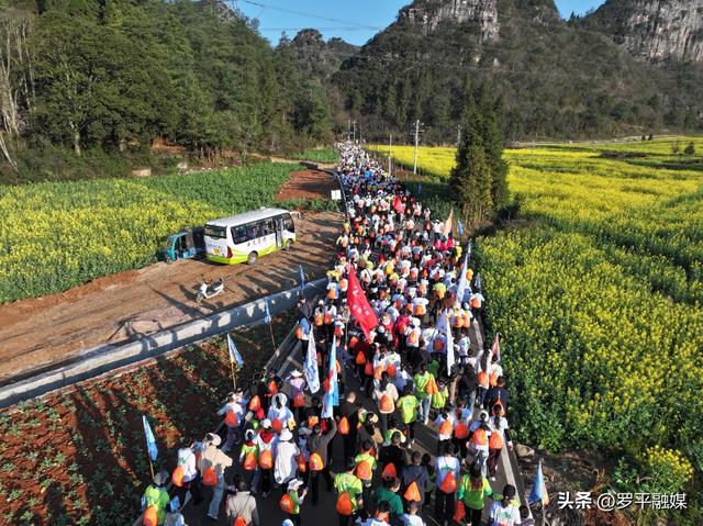 赛事引客潮 清凉促消费——罗平“体育+文旅”激活夏日经济活力