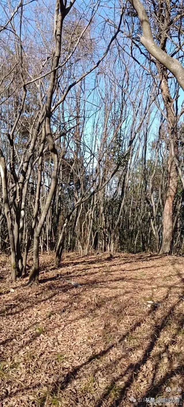 探秘楠溪江源头!这条海拔千米以上的草甸山脊只有极少数驴友知道