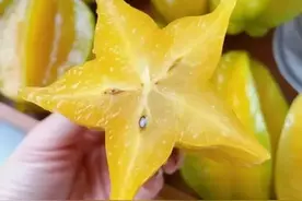 世界上最难吃的10种水果图片