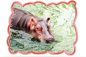 数九寒天，太原动物园的动物们如何过冬图片