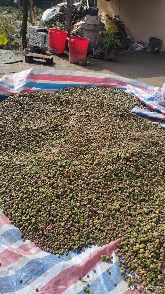 16）嵩山秋行记：27人踏秋赏红叶，从西山脊到古刹禅心