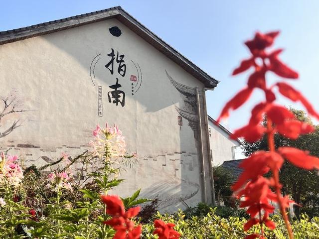 “红叶指南”迎来醉美秋色！杭州坐公交赏秋这么走