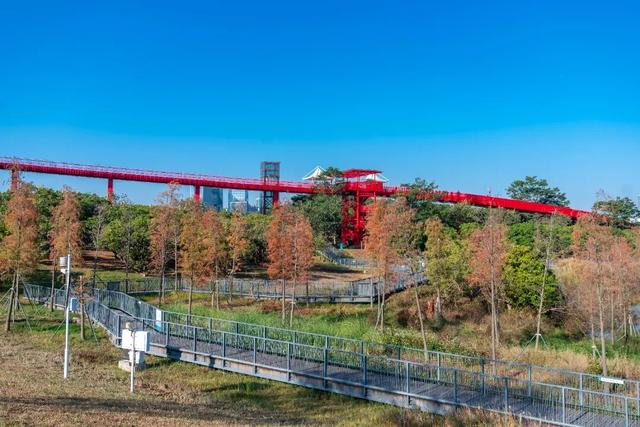 看！是金黄色的光明！