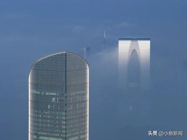 园区的夏日光影诗
