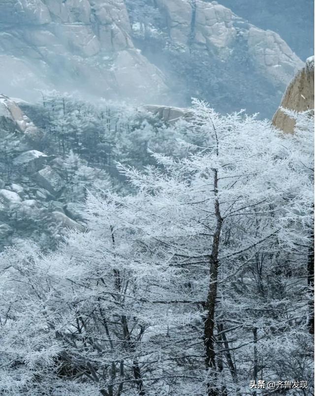 乘着地铁逛青岛｜解锁奇趣山海和人间烟火