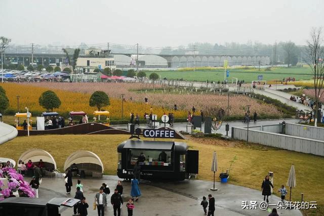 成都人看油菜花,今年换个地方“野”