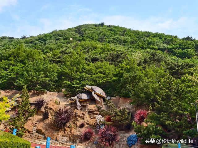大连海之韵公园·棒槌岛