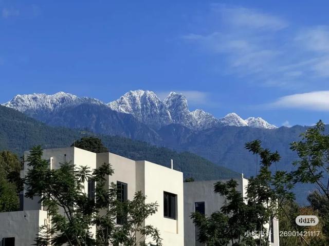 比西昌人少，比昆明更近！高铁直达20℃小众春城，赏花摘果泡温泉！3元草莓吃到撑~