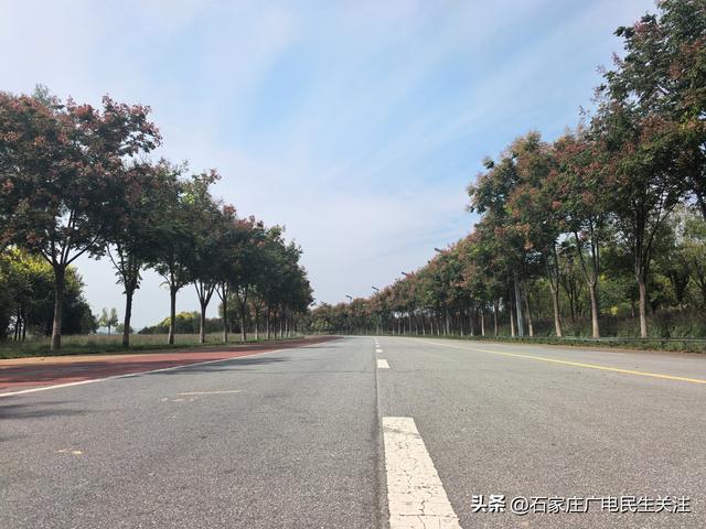 十一漫游滹沱河：乘滹沱河观光线，赴一场河湖与秋风的约会