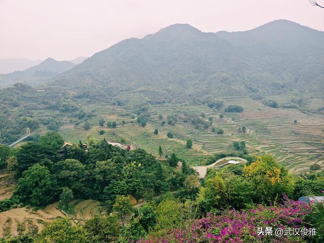 篁岭晒秋正当时！邂逅“最美中国乡村”的限定色彩
