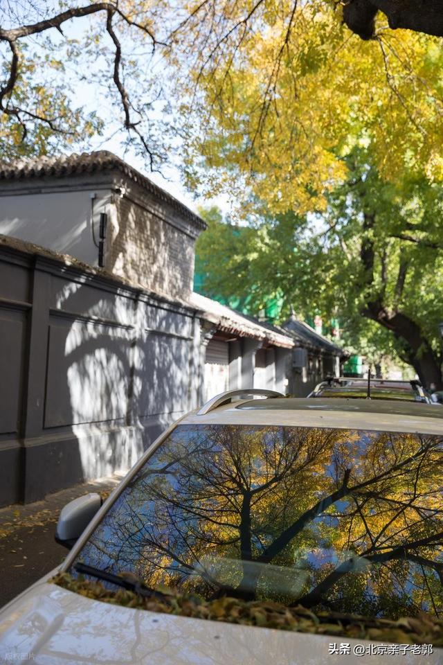 北京秋日Citywalk全攻略｜本周银杏黄金路线追秋指南