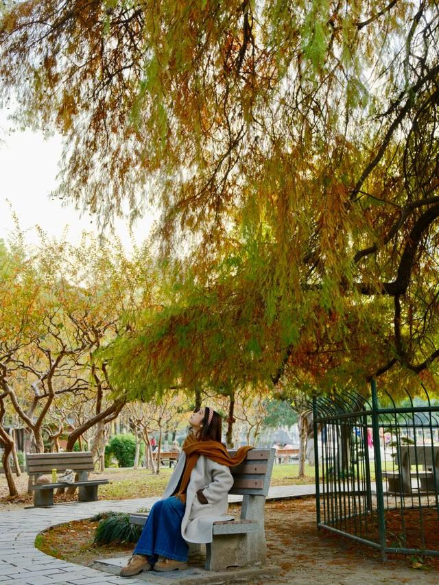 周末N次方 | 打开这份江汉赏秋图鉴→