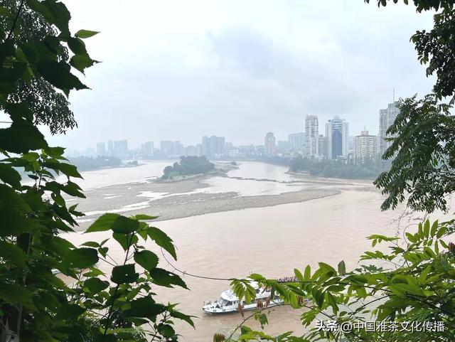 乐山乐水，顺风顺水