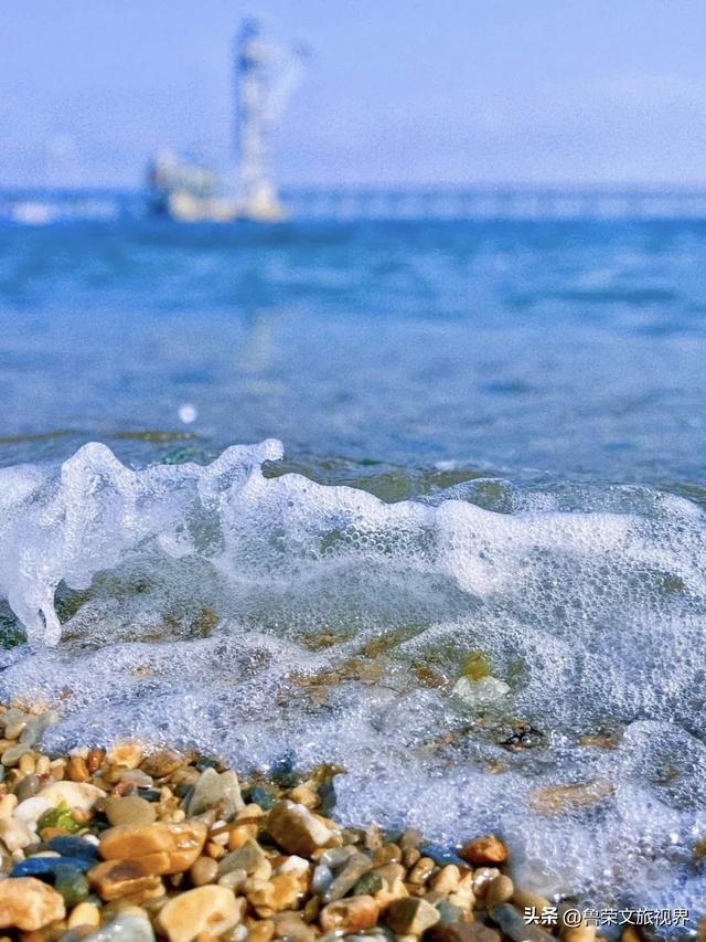 大连秋日鎏金时：荧光海低语，老电车叮咚，海鲜盆里盛着山海情