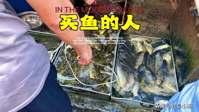 周末去逛早市，南宁安北下菜市场都是人挤人！