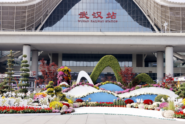 年度金秋盛宴来了，武汉城建集团邀您逛菊展、赏名菊、拍美照！
