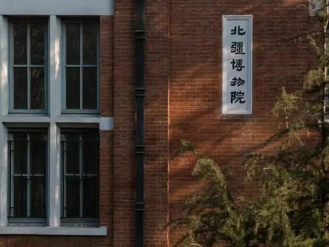 共赴上合之约 畅享“西岸”美好【第二弹】