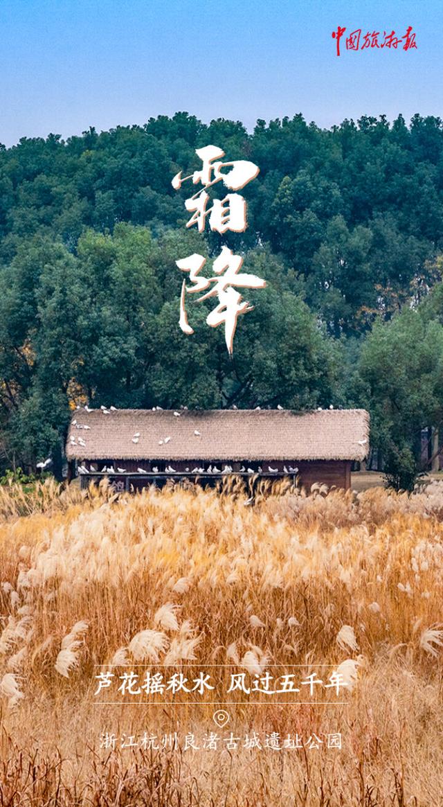霜降丨收尽秋光惊艳色 静候冬日好时光