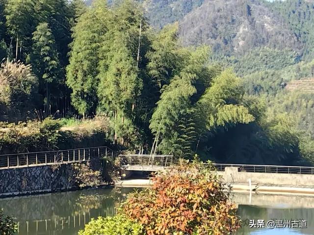 邂逅初冬醉美泽雅风情!藏于乡野的冬日艳遇,每个转角都有惊喜!