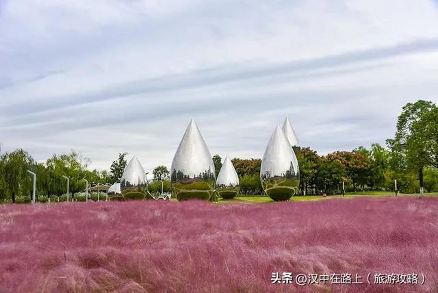 汉中湿地公园的秋已上线，随手拍都是治愈感！