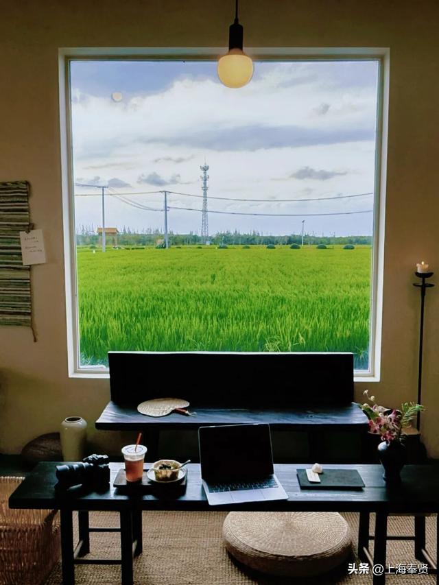 “乡”遇奉贤·青村镇篇丨拒绝假期特种兵！我选择在青溪当一名“慢生活博主”