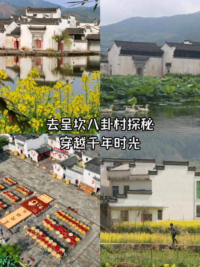 来黄山一定要做的 10 件事！速收藏