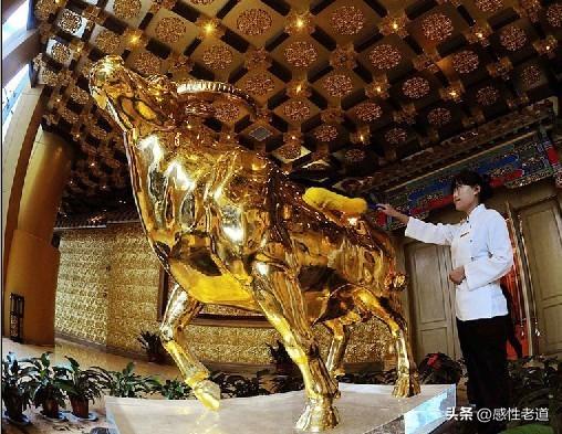 华西村的金牛，现在看来真是一次成功的投资