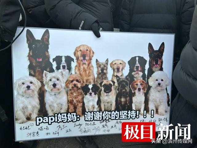 北京首例宠物中毒刑事诉讼案宣判，被告获刑4年，当庭提起上诉，辞职为宠追凶的狗主人：还将起诉小区物业