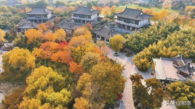 美在邯郸 | 清浅冬韵入园林