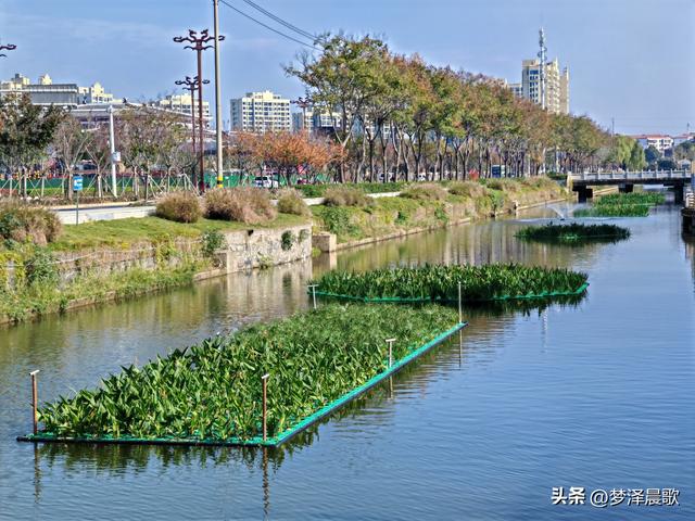 生物浮岛扮靓云梦水域 初冬亲水空间引客来