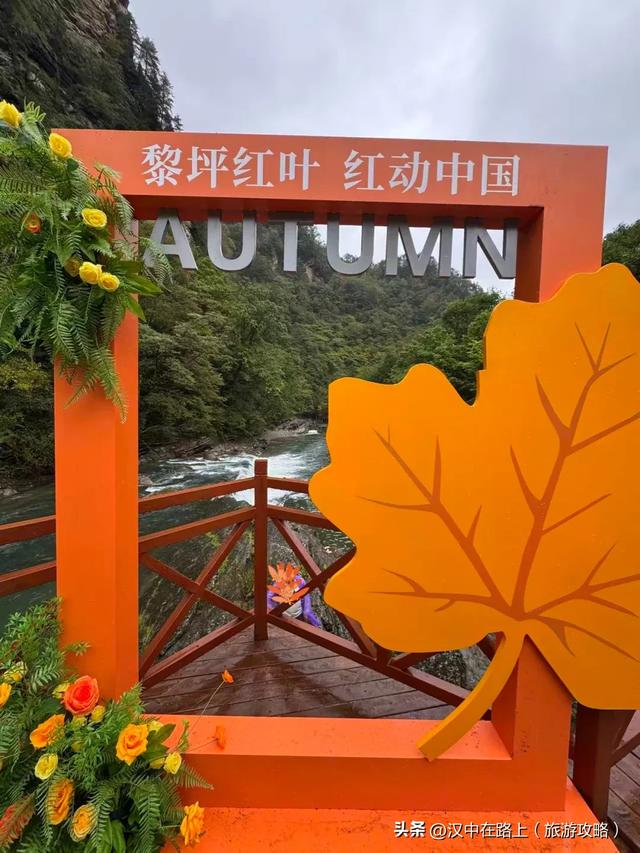 2025汉中黎坪红叶季10月15日云启幕！18日、19日免门票！