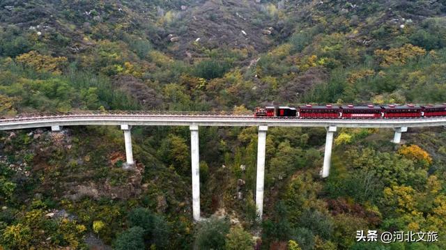 干货！敬业旅游区带你玩出新花样