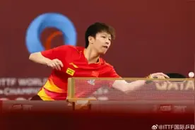 林高远无缘晋级世乒赛16强图片