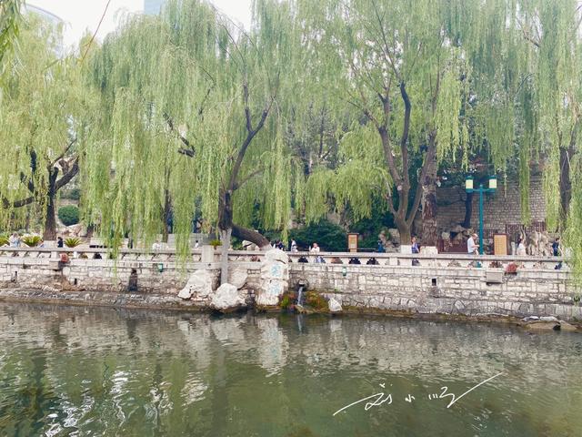 山东济南第二大名泉“太良心”：身为5A景区的一部分，却免费开放