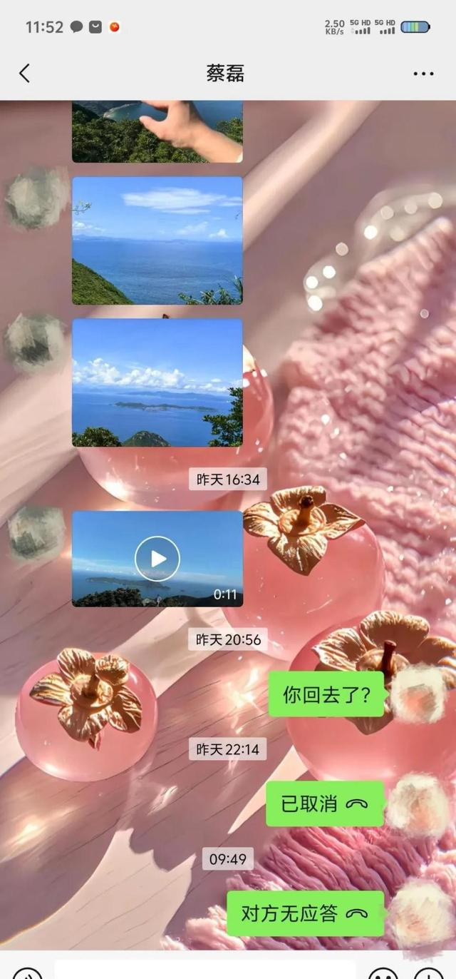 蔡磊遗骸已找到！在未开发区域，曝头身分离，只有手机丢失引争议