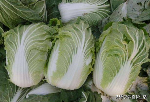 明日冬至，有钱没钱记得“囤1菜	，吃2肉，食3样	”，老传统要尊重