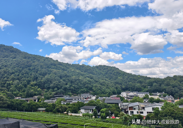 杭州秋日好玩的地方有哪些？该如何规划路线？有什么注意事项？