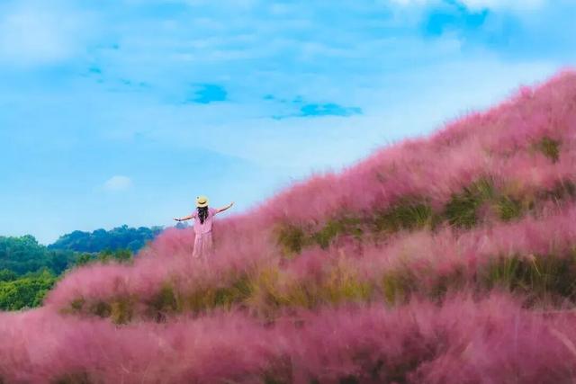 秋假来了！“不知道去哪儿耍”，来新津就对了