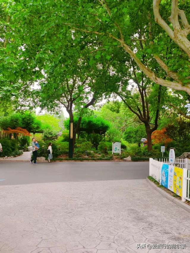 在上海终于看到了！一座建在市中心的巨大公园！