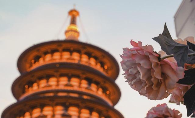 郑州人去了洛阳和开封，直言不讳：洛阳人和开封人的气质截然不同