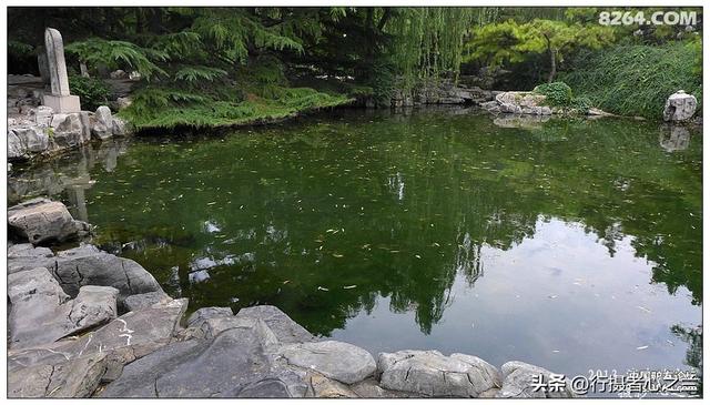 山东行游影记（11）—济南趵突泉（十一）