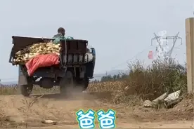 爸爸在前面开车 玉米掉一路 女儿在后面怎么喊都没反应 网友:除了爸爸 全网都听见了图片