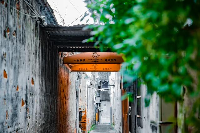 2025“最美小镇”名单公示，上海一处上榜！